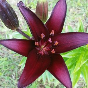 Meet your Posher, Chelsey